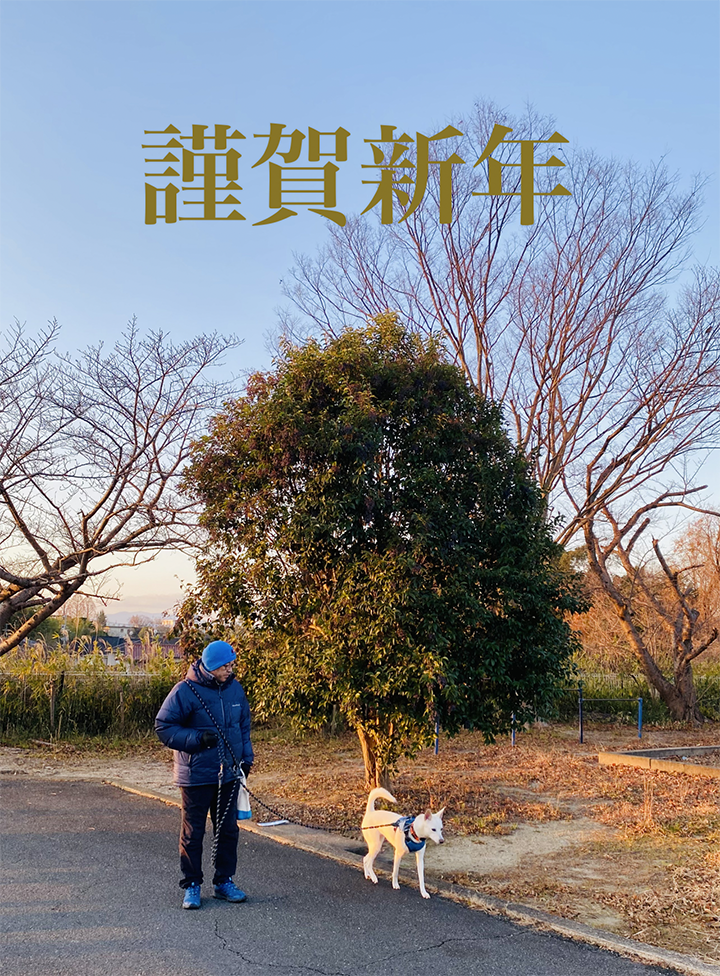 ★☆№１　謹賀新年　本年度も宜しくお願い致します。　スペシャル鯉出品中！！　　阪井養魚場　 紅白 ２才 ４７ｃｍ オス 