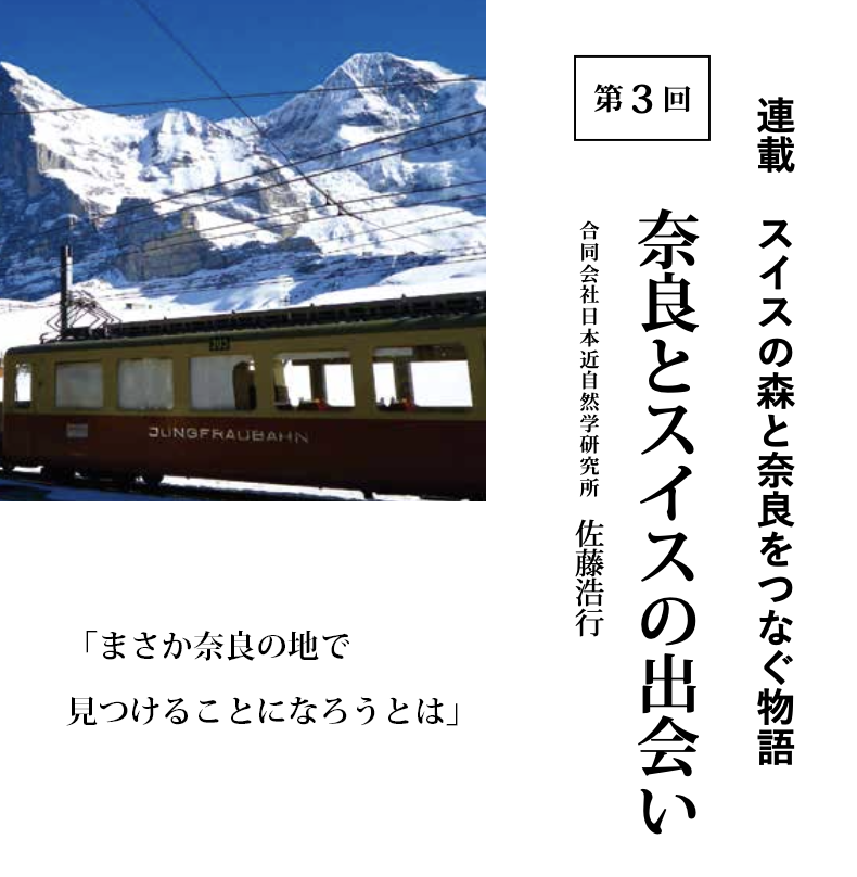 スイスの森と奈良をつなぐ物語